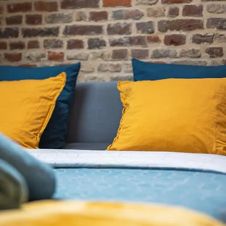 Apartament Calme/ Confortable / Esthetique / Centre-ville